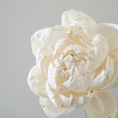 手工大朵通草花家用无火香薰diy干花插花白牡丹诧寂风装 饰样板间