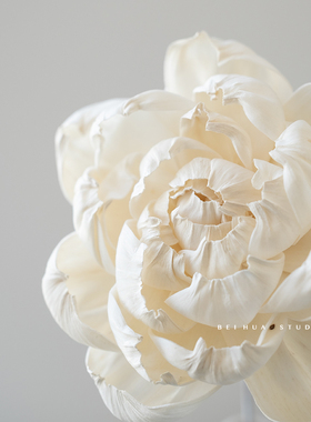 手工大朵通草花家用无火香薰diy干花插花白牡丹诧寂风装饰样板间