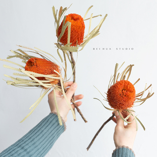 进口干花班克木花束日系天然真花家居摆设客厅装饰花桌面轻奢摆件