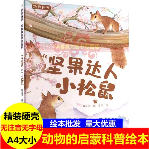 坚果达人小松鼠动物探索