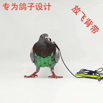 鸽子放飞绳背带遛鸽子赛鸽负重训练背心宠物鸽乌鸦放飞牵引绳