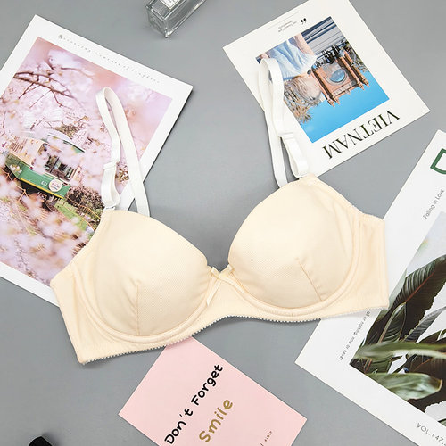 菲爱普莱圆盘型大钢圈内衣薄款助副乳回流舒适文胸2718