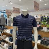 正品 报喜鸟品牌男短袖 新款 蚕丝面料舒适透气亲肤爸爸款 POLO衫 夏季