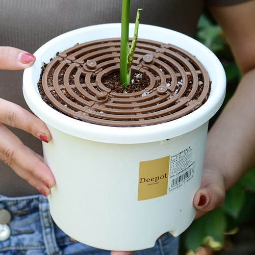 花盆防猫抓防护盖可裁剪升级新款