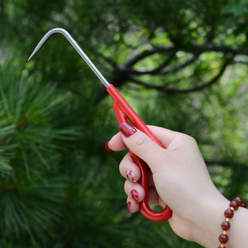 盆景根钩不锈钢盆景工具换盆护根掏根拔草绿植翻盆刀换盆园艺用品,鲜花速递/花卉仿真/绿植园艺,其它园艺用品,淘宝优惠券,粉丝福利购,淘宝优惠卷