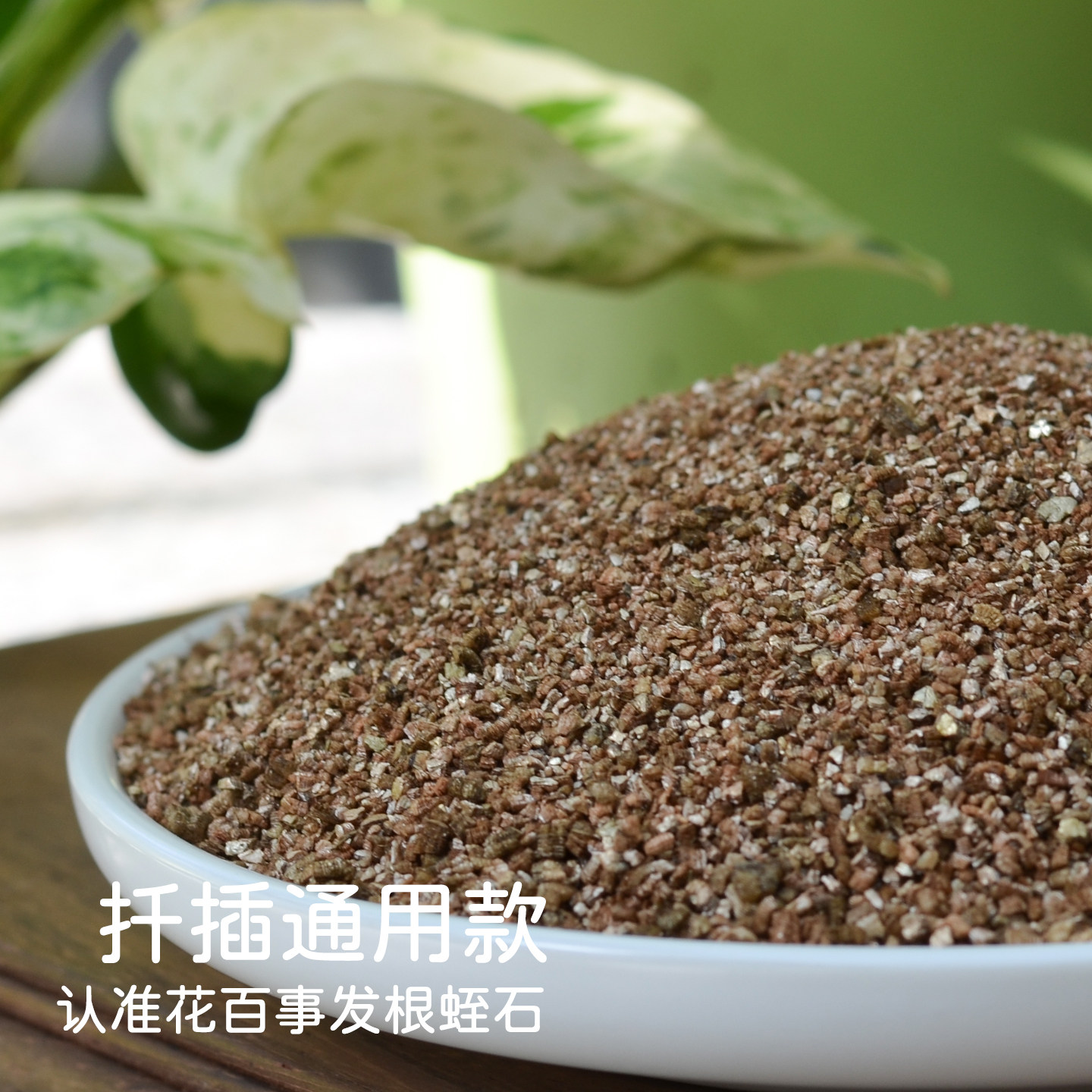 花百事蛭石扦插用整包通用款图片