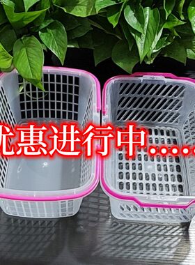 草莓篮子塑料水果采摘篮