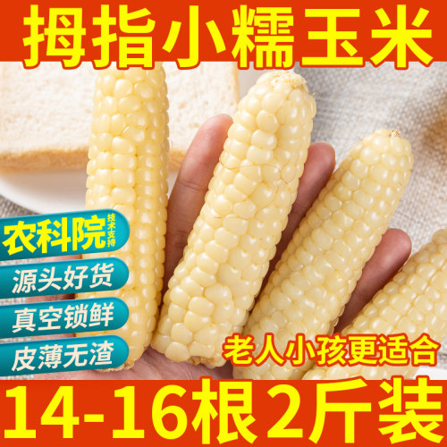 西双版纳拇指玉米口感细腻无渣
