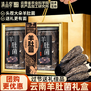 农科院精选羊肚菌干货大个云南特产礼盒新年过年货送礼走亲戚长辈