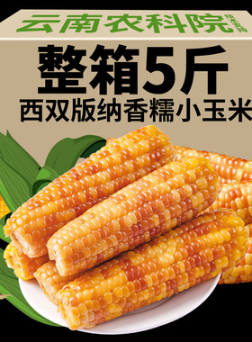 5斤 云南西双版纳香糯小玉米即食真空新鲜傣家甜糯玉米棒粗粮代餐