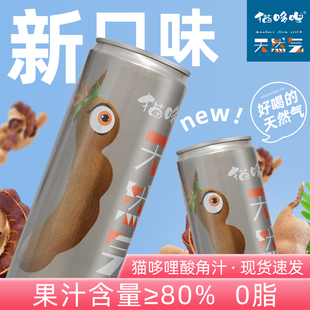 貓哆哩汽水天然氣酸角汁飲料云南特產酸甜角飲料整箱新鮮含氣果汁