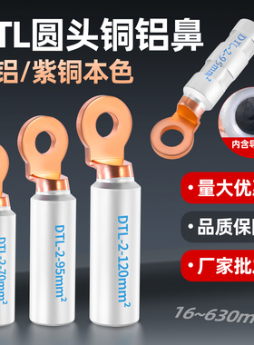 铜铝线鼻子圆头接线耳DTL2过渡连接头塑壳断路器光伏空开接线端子