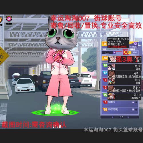 V675街头篮球账号一区奥丁SG 侧步 +4发+4+3 全+1套