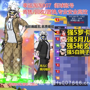 t297街头篮球四区顶配中手8s罗卡c超5嘻哈/月儿c双修三分/玄武pg