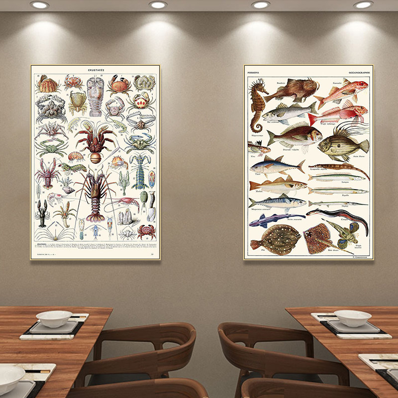 海洋生物图鉴装饰画欧式手绘鱼虾蟹科普挂画海鲜酒楼水产餐厅壁画
