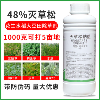 阔叶杂草莎草水葱三棱草