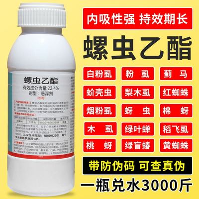 蚧壳虫安格诺螺虫乙酯