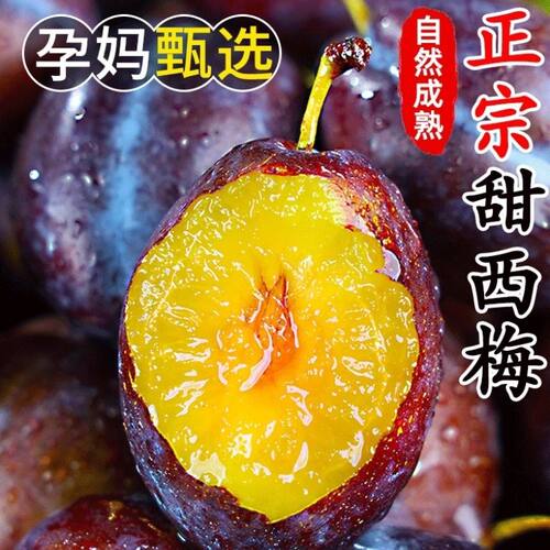 现摘西梅鲜果正宗蓝蜜法兰西应当季水果整箱5斤李子脆甜多汁包邮