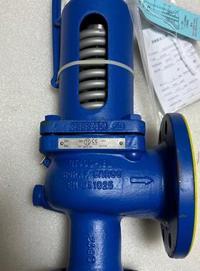 【议价】斯派莎克安全阀，参数：SV607DS 球墨铸铁 DN50 P