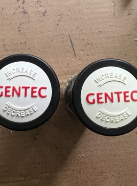 【议价】美国捷锐减压阀R21SLAK-FIW-00-00-P 两个