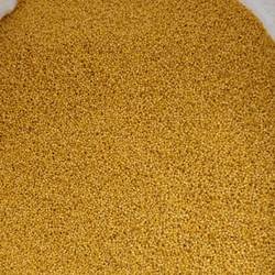 2025山西小米沁州黄小米农家自产小米粥临县小米陕北小米5斤包邮