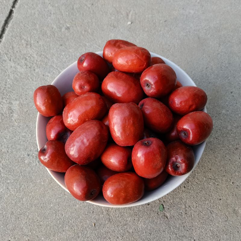2025新鲜枣糖心枣软枣绵枣陕北红枣佳县油枣佳县红枣黄河滩枣酸甜