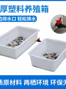 金源PE养殖缸养鱼养龟过滤箱