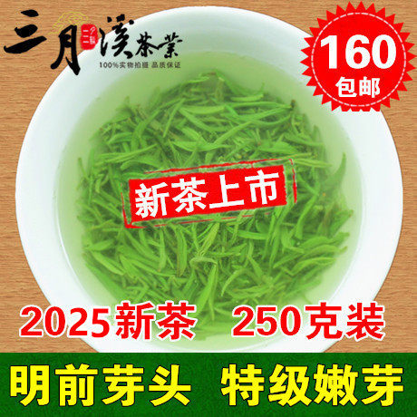 预定中2026新茶信阳毛尖明前芽头绿茶叶散装高山特级嫩芽毛尖250g