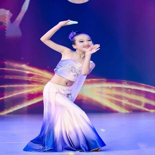 儿童成人傣族舞蹈服装艺考剧目演出练习半身裙包臀孔雀舞彩云之南