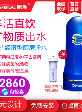 美国派斯净水器ps-10自来水过滤
