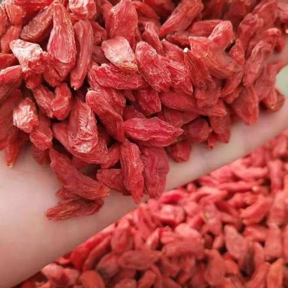 2025新货柴达木红枸杞特大特级枸杞子非宁夏中宁枸杞大枸杞不熏硫