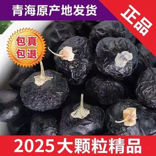 新货12mm青海诺木洪非野生黑枸杞子250g黑构杞青海黑枸杞泡水特级