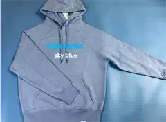 Medium-Sized Logo Hoodie
