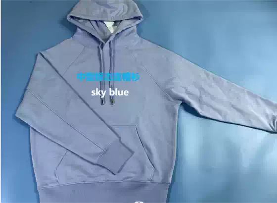 Medium-Sized Logo Hoodie