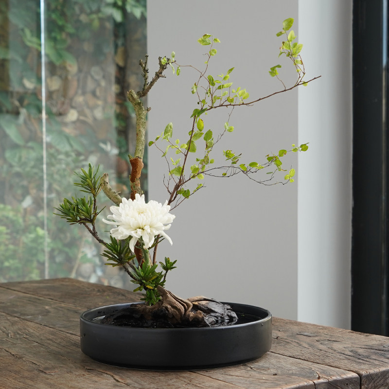 剑山插花器圆盘花器小原流花道花艺简约中式插花器皿陶瓷水盘一皿,鲜花速递/花卉仿真/绿植园艺,花盆,淘宝优惠券,粉丝福利购,淘宝优惠卷