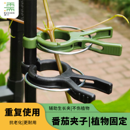 大棚夹子番茄西红柿吊秧夹绑蔓夹吊蔓夹扶蔓夹西葫芦落秧夹黄瓜夹