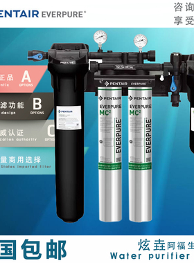 美国爱惠浦净水器MC2商用双联三联四联直饮机奶茶咖啡甜品店过滤