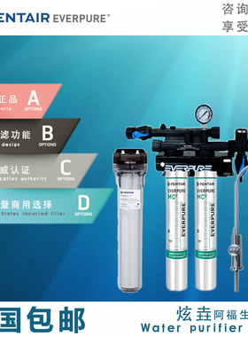爱惠浦MC2双联净水器 商用 家用MC2奶茶店专用大流量直饮水机过滤