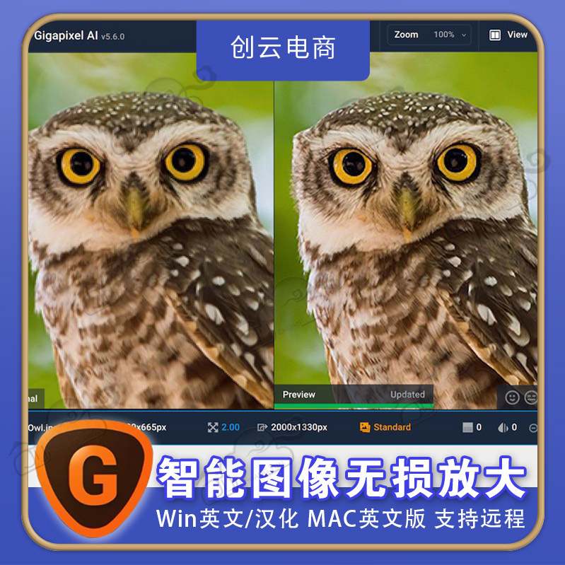 Ai人工智能图片无损放大Topaz Gigapixel AI 自动模糊变清晰 商务/设计服务 设计素材/源文件 原图主图