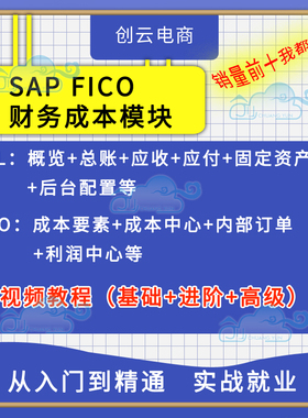 SAP FICO财务模块零基础进高阶项目实战培训视频教学课程成本