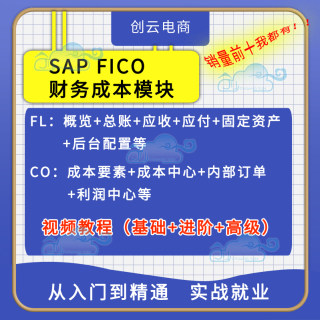 SAP FICO财务模块零基础进高阶项目实战培训视频教学课程成本