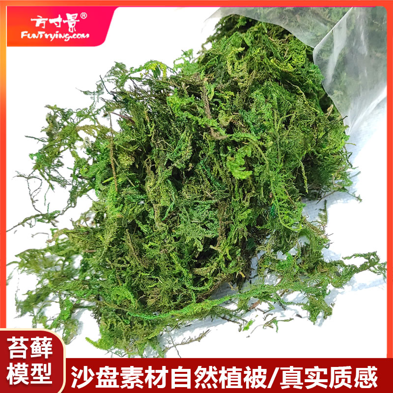 方寸景苔藓植物微缩仿真模型