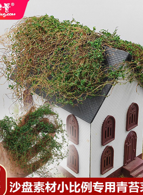 方寸景微缩模型青苔茅草绿草花藤手工DIY材料模型沙盘小比例专用