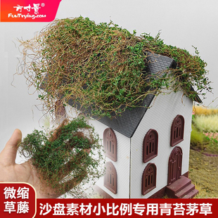 方寸景微缩模型青苔茅草绿草花藤手工DIY材料模型沙盘小比例专用
