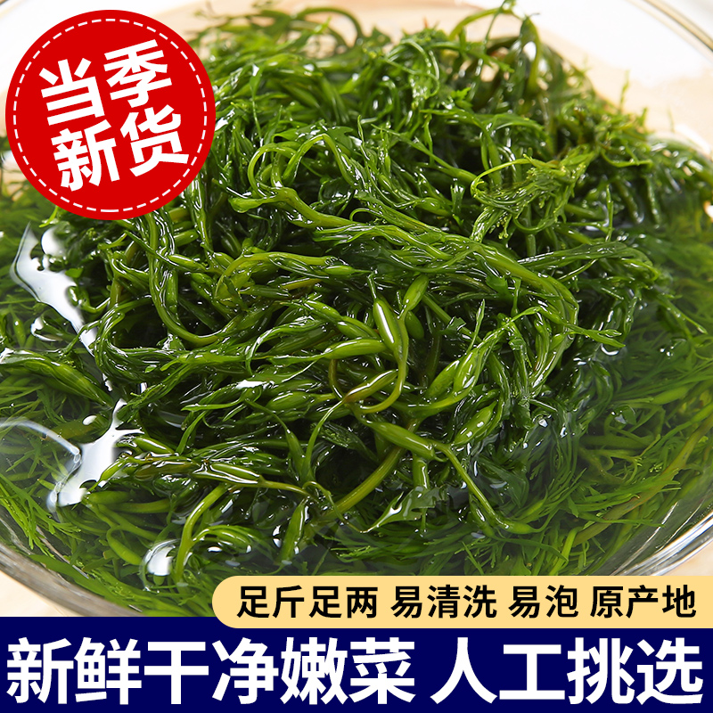 海草鞭炮笋5斤羊栖菜新鲜马尾藻长寿菜盐渍海藻菜半干货整箱商用 水产肉类/新鲜蔬果/熟食 海带 原图主图