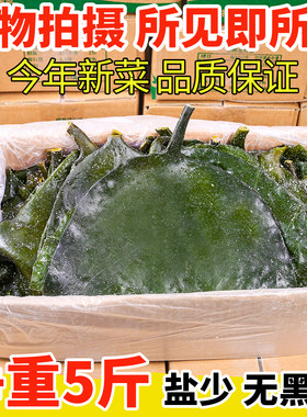 海带头新鲜盐渍特厚级荣成特产海带根片半干货餐饮商用5斤整箱