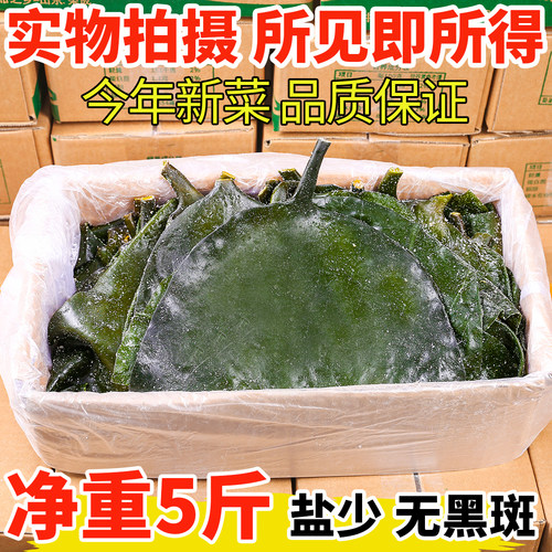 海带头新鲜盐渍特厚级荣成特产海带根片半干货餐饮商用5斤整箱