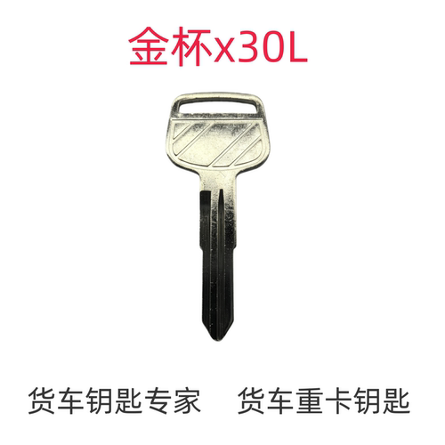 专配金属钥匙金杯x30LT20T30大海狮新能源面包车钥匙远程照片开齿