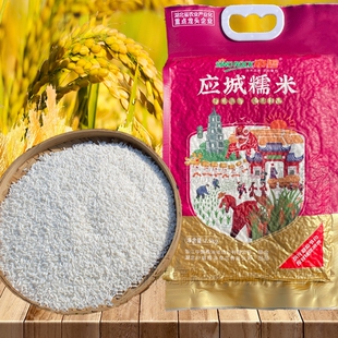 5斤湖北特产应城长粒糯米包粽子糍粑专用白江米农家酿酒香籼粘米