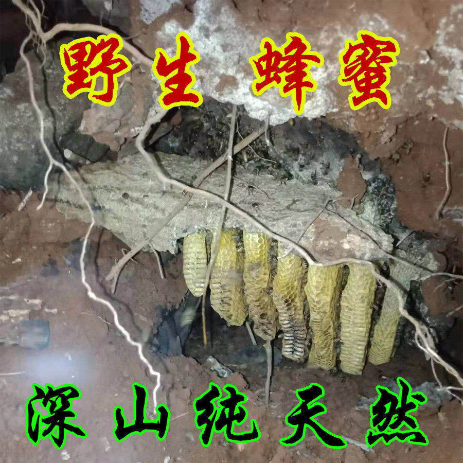 正宗纯天然蜂蜜 百花蜜 250克 500克 土蜂蜜